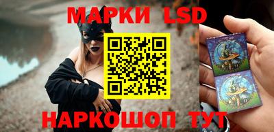 прущие грибы Обнинск