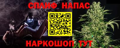 прущие грибы Обнинск