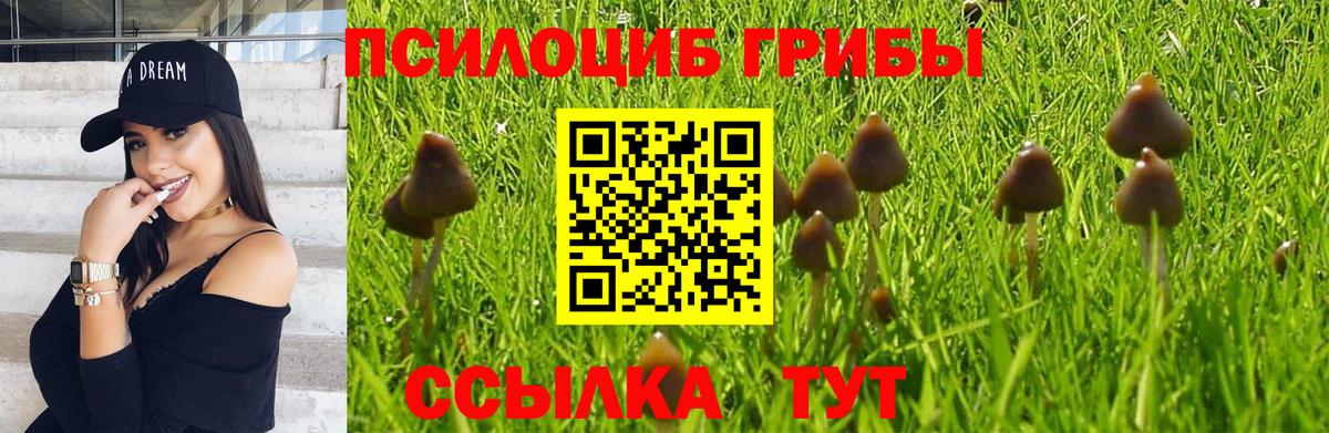 Псилоцибиновые грибы прущие грибы Торжок